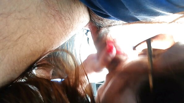 Kratkokosa djevojka Sovereign Syre duboko se ukoči