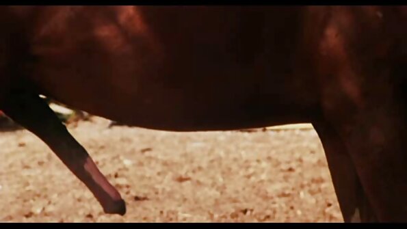 Mocha Skinned Jadis Spade Gobbles A Boner